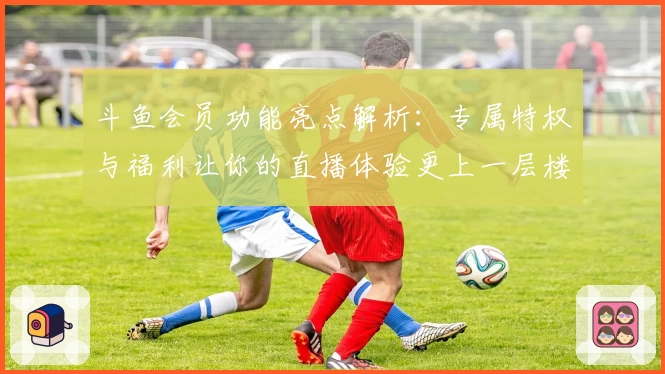 斗鱼会员功能亮点解析:专属特权与福利让你的直播体验更上一层楼