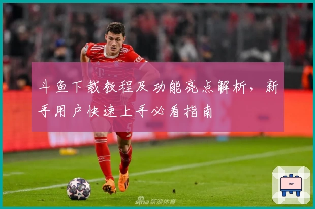 斗鱼下载教程及功能亮点解析，新手用户快速上手必看指南