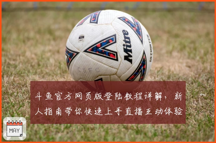 斗鱼官方网页版登陆教程详解,新人指南带你快速上手直播互动体验