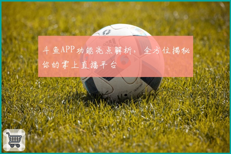 斗鱼APP功能亮点解析，全方位揭秘你的掌上直播平台
