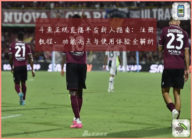 斗鱼正规直播平台新人指南：注册教程、功能亮点与使用体验全解析