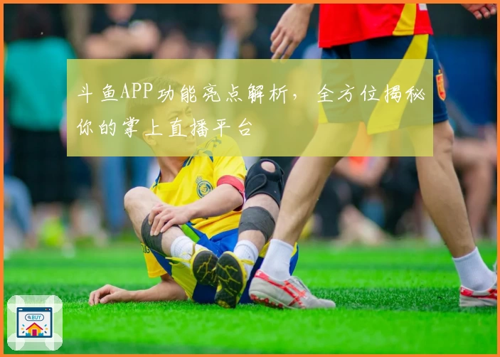 斗鱼APP功能亮点解析,全方位揭秘你的掌上直播平台