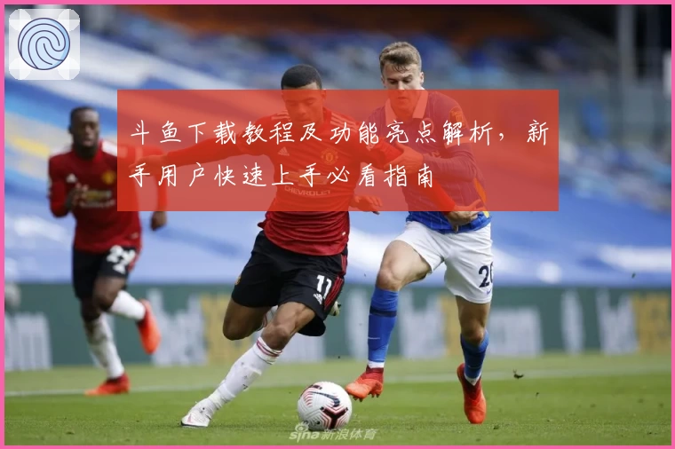 斗鱼下载教程及功能亮点解析，新手用户快速上手必看指南