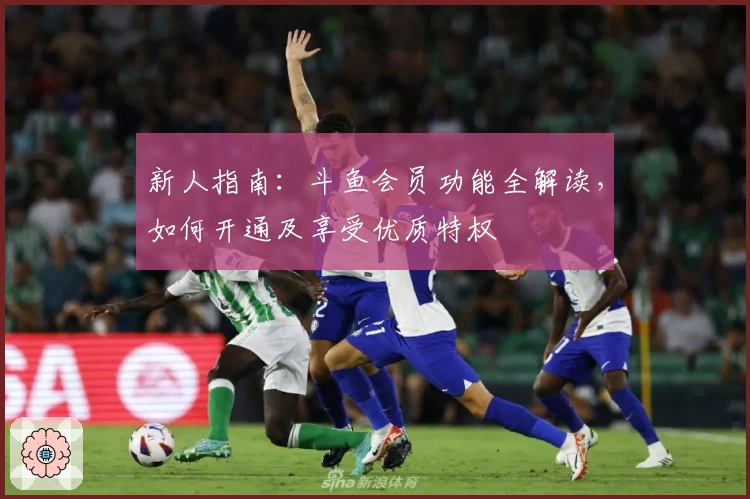 新人指南：斗鱼会员功能全解读，如何开通及享受优质特权