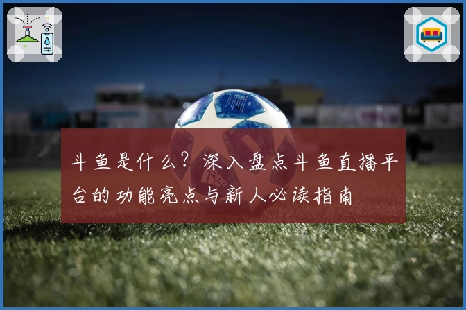 斗鱼是什么？深入盘点斗鱼直播平台的功能亮点与新人必读指南