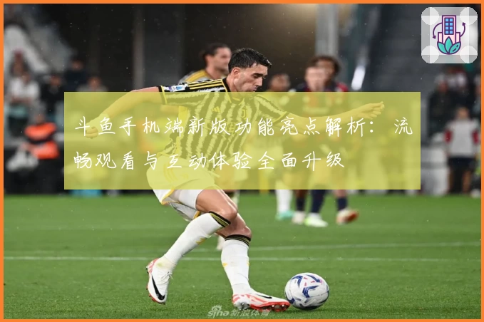 斗鱼手机端新版功能亮点解析：流畅观看与互动体验全面升级