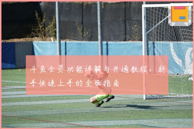 斗鱼会员功能详解与开通教程,新手快速上手的全面指南