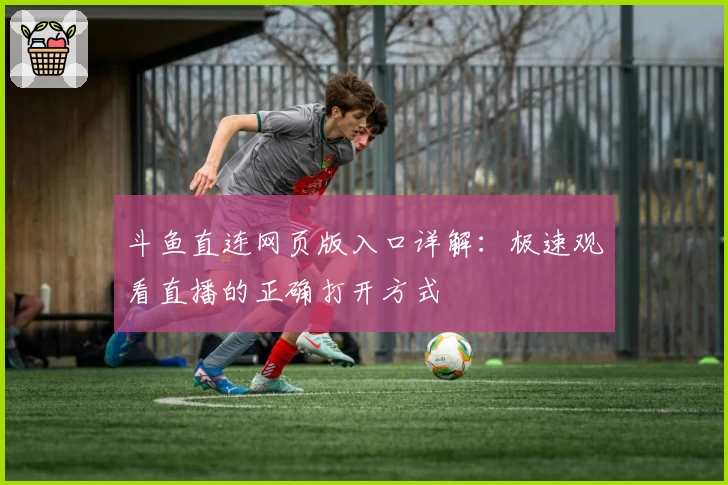 斗鱼直连网页版入口详解：极速观看直播的正确打开方式